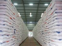 Produksi Beras Indonesia Tembus 34,77 Juta Ton