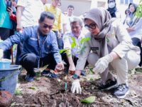 barru-perkuat-ruang-hijau-lewat-program-daun-hijau