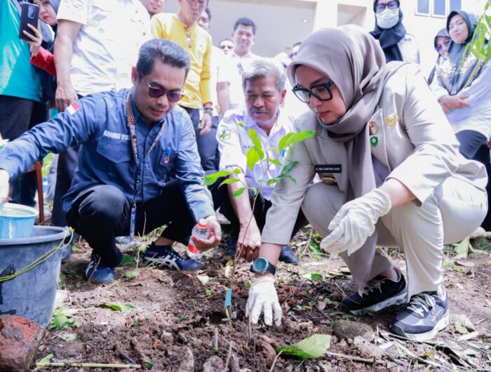 barru-perkuat-ruang-hijau-lewat-program-daun-hijau