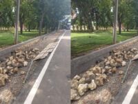 Talud proyek Jalan Perintis Bone ambruk di depan Kantor DPRD Kabupaten Bone, Sulawesi Selatan