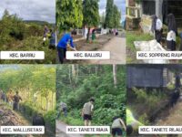 Masyarakat dan Staf OPD serentak melakukan aksi bersih dalam Gerakan Cinta Barru.