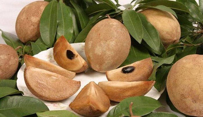 Manfaat Buah Sawo untuk Kesehatan Kulit dan Tubuh