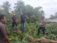 Petugas kepolisian dan BPBD menangani pohon tumbang yang menimpa rumah warga di Desa Kading, Barru