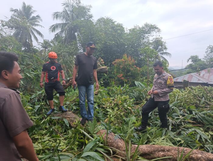 Petugas kepolisian dan BPBD menangani pohon tumbang yang menimpa rumah warga di Desa Kading, Barru