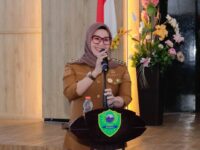 Bupati Barru, Andi Ina Kartika Sari