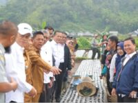 Menteri Pertanian Andi Amran Sulaiman meninjau lahan bawang putih di Sembalun, NTB, dalam rangka percepatan swasembada nasional.