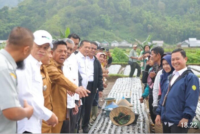 Menteri Pertanian Andi Amran Sulaiman meninjau lahan bawang putih di Sembalun, NTB, dalam rangka percepatan swasembada nasional.