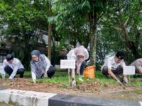 Bupati Barru Andi Ina Kartika Sari meluncurkan Gerakan Tanam Cabai bagi ASN di halaman Kantor Bupati Barru