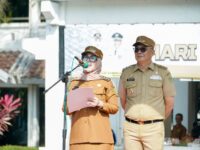 Bupati Barru memimpin upacara dan halal bihalal ASN di halaman Kantor Bupati Barru