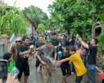 Suasana Pesta Panen Adat Paenge Ma’jimpo-jimpo di Dusun Birue Barru dengan kehadiran Wakil Bupati dan masyarakat.