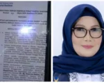 Hayarna Hakim disebut ditunjuk NasDem menggantikan Rusdi Masse di DPR RI