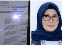 Hayarna Hakim disebut ditunjuk NasDem menggantikan Rusdi Masse di DPR RI