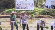 Kapolres Barru bersama pejabat daerah menghadiri dan mengawal kegiatan percepatan tanam 50.000 hektar di Barru