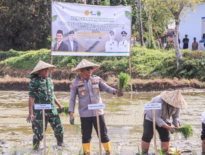 Kapolres Barru bersama pejabat daerah menghadiri dan mengawal kegiatan percepatan tanam 50.000 hektar di Barru