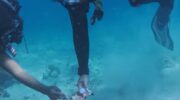 Kapolres Barru membersihkan sampah plastik saat menyelam di perairan Pulau Dutungan