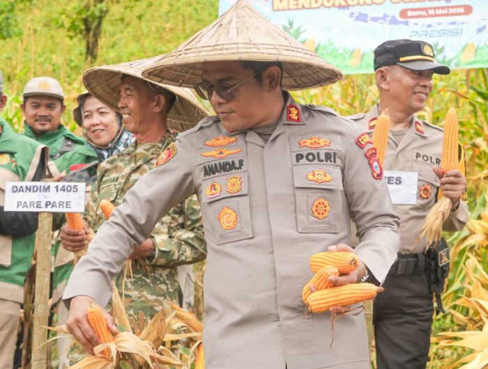 Kapolres Barru AKBP Ananda Fauzi Harahap saat panen raya jagung serentak Kuartal II Tahun 2026 di Desa Libureng, Kabupaten Barru.
