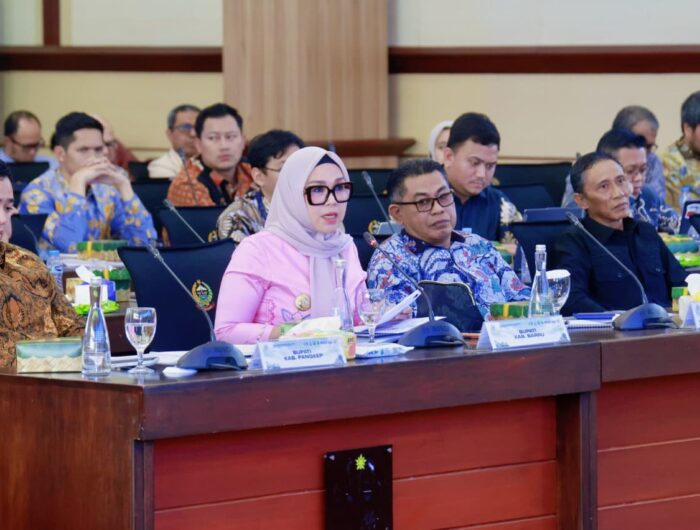 Bupati Barru Andi Ina Kartika Sari menyampaikan komitmen mendorong investasi berkelanjutan saat menghadiri Kunjungan Kerja Spesifik Komisi VI DPR RI di Kantor Gubernur Sulawesi Selatan, Makassar.