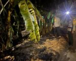 Personel Polsek Tanete Rilau melakukan pengecekan di lokasi kebakaran lahan di Lingkungan Lipukasi, Desa Lipukasi, Kecamatan Tanete Rilau, Kabupaten Barru, usai api berhasil dikendalikan.