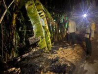 Personel Polsek Tanete Rilau melakukan pengecekan di lokasi kebakaran lahan di Lingkungan Lipukasi, Desa Lipukasi, Kecamatan Tanete Rilau, Kabupaten Barru, usai api berhasil dikendalikan.