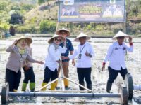Bupati Barru Andi Ina Kartika Sari menghadiri Gerakan Tanam Serempak Nasional di areal Kelompok Tani Labu Cai Desa Bojo.