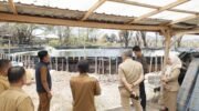 Wakil Bupati Barru Abustan A. Bintang meninjau budidaya udang vaname Fikram di Desa Pancana