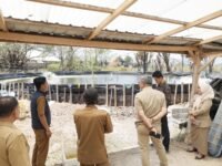 Wakil Bupati Barru Abustan A. Bintang meninjau budidaya udang vaname Fikram di Desa Pancana
