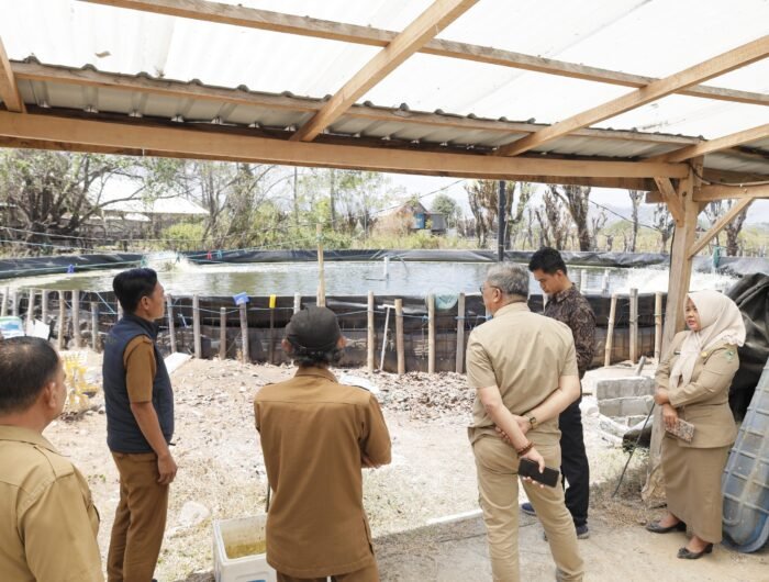 Wakil Bupati Barru Abustan A. Bintang meninjau budidaya udang vaname Fikram di Desa Pancana
